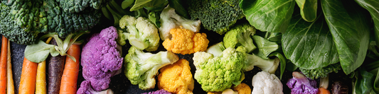 How Our Naturopath Supports Gut Health in Winter: Foods, Tips & Natural Remedies